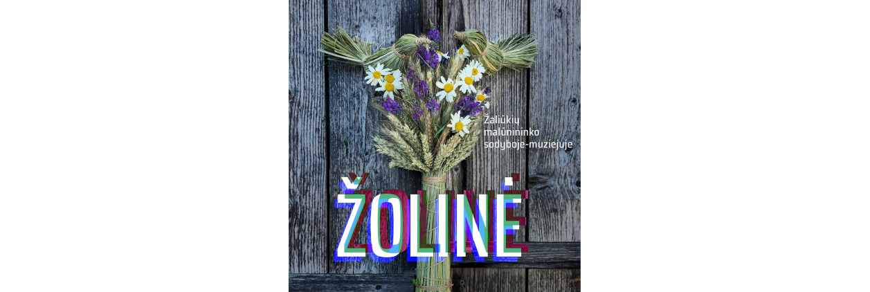 0001_zoline_1200x1200-svetainei_1786086575-342b13614320a7c4507e50ee5fba8cff.jpg